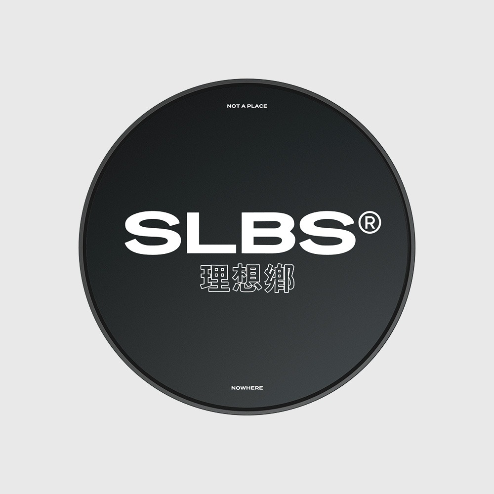 SLBS 이상향 Wireless Charger